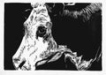 "Cow" — Woodblock Print, Ink on Paper, 30"×21"