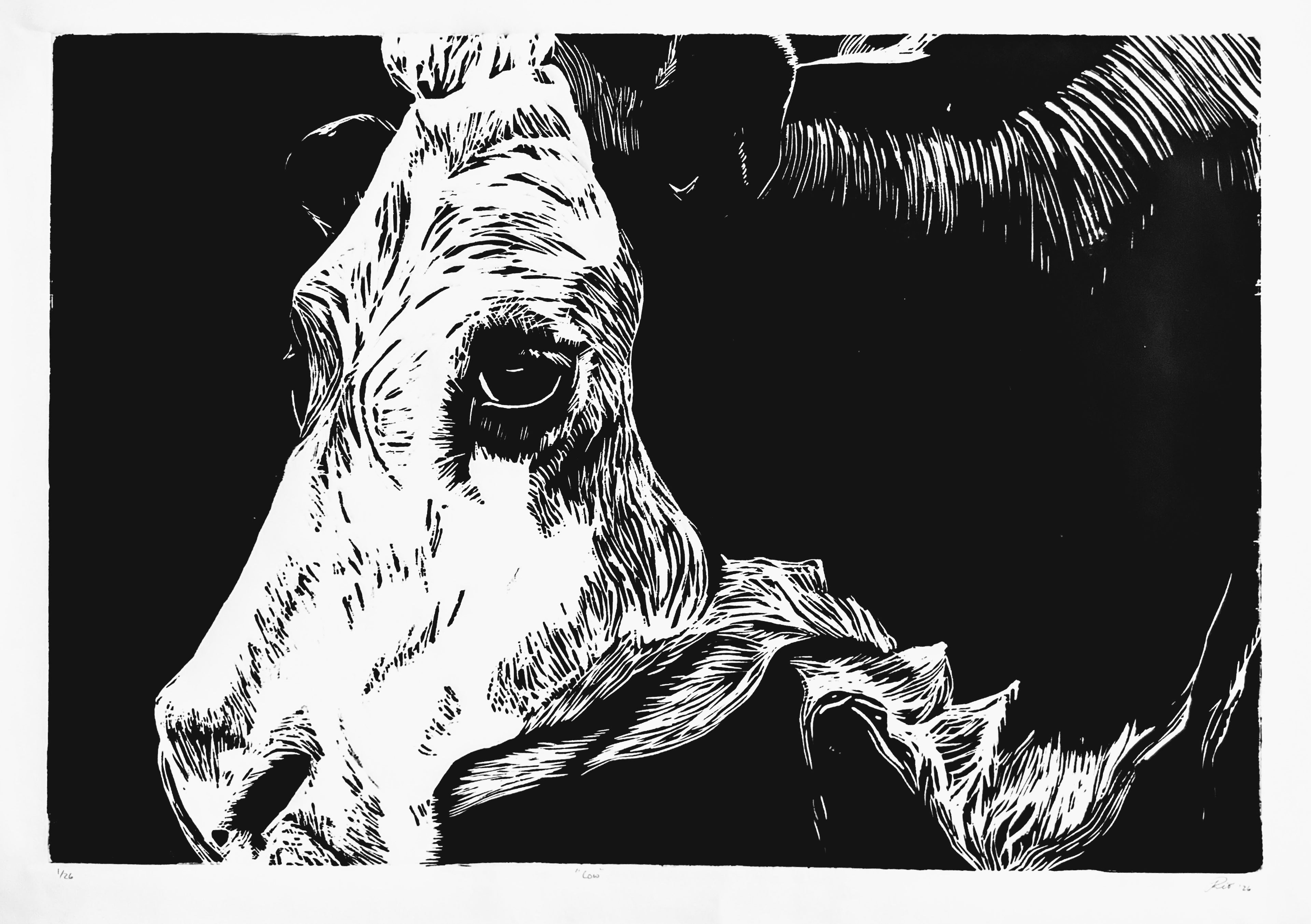 "Cow" — Woodblock Print, Ink on Paper, 30"×21"