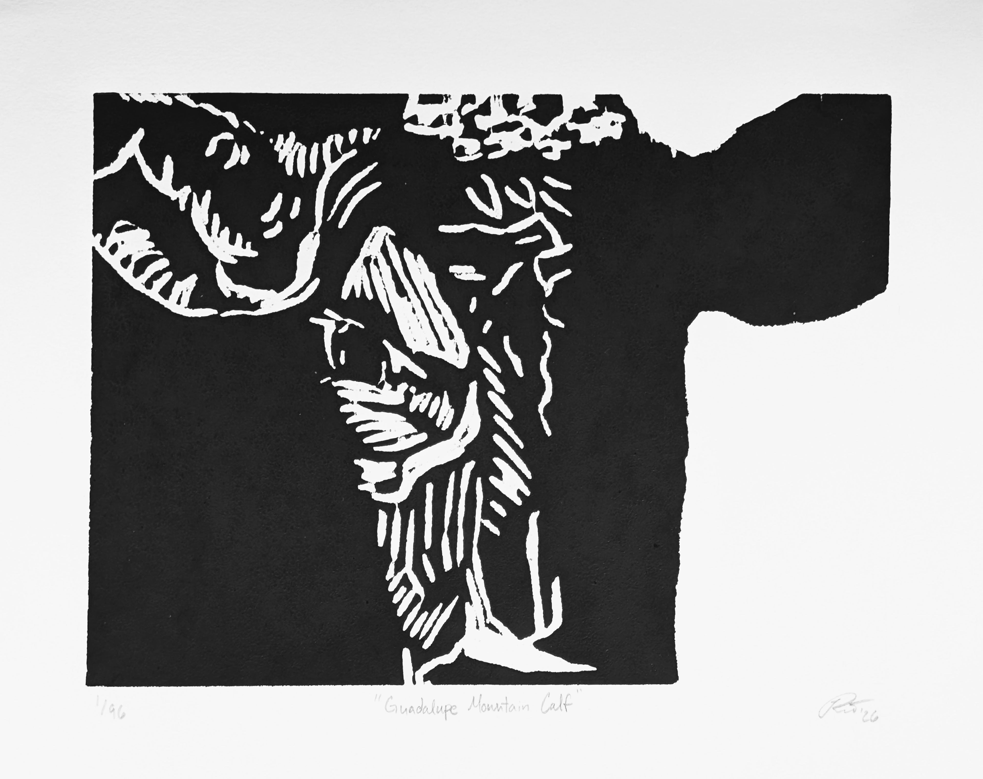 "Guadalupe Mountain Calf" — Woodblock Print, Ink on Paper, 8"×6"